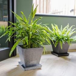 Ella aluslautanen art stone - Grey P19 X L19 X K3