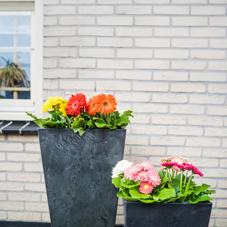 Ella ruukku art stone - Black P30 X L30 X K29