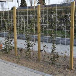 Espalier, metalliverkkopaneeli, galvanoitu, pakkauksessa mukana kiinnikkeet. 5kpl paketti. Leveys 900mm, 3 eri korkeutta