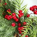 Christmas wreath with berries and pine cones Ø60 cm