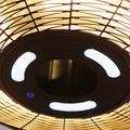 HORTUS Patio heater 211-315 hanging 2000 W, GT, Ø45cm, black.