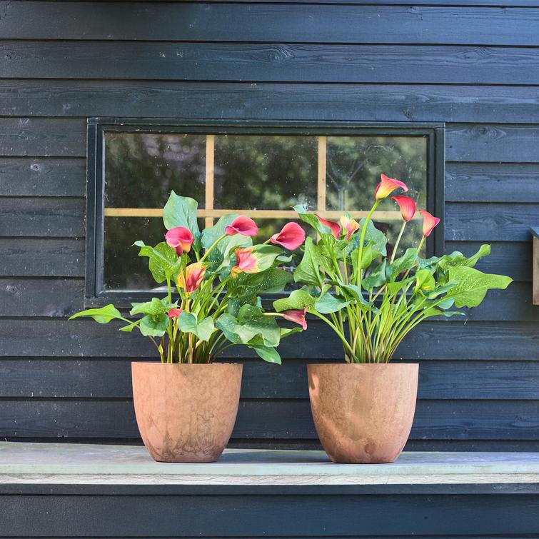 Bola ruukku art stone - Oak Ø28 x K24