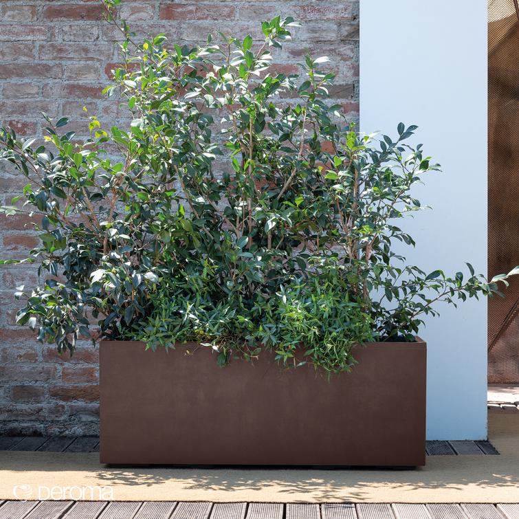 Millennium suorakaiteen muotoinen kukkalaatikko pyörillä - Brownstone P99 x L38 x K39