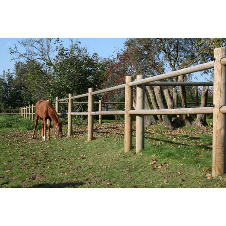 Hevosaitaus 80 metri&auml;, painekyll&auml;stetty