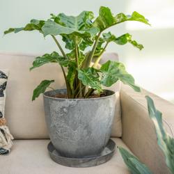 Bola ruukku art stone - Grey &Oslash;28 x K24