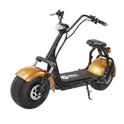 Kruiser Premium Pack Gold 1,2kWh akulla