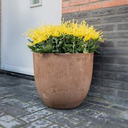 Camillo-ruukku 3 kpl setti - Bottle green