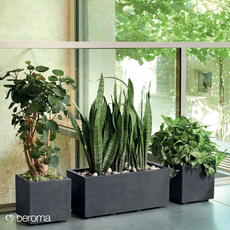 Millennium suorakaiteen muotoinen kukkalaatikko - Antracite P79 x L39 x K39