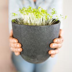 Bola ruukku art stone- Black &Oslash;28 X K24