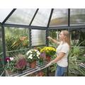 PALRAM Canopia Oasis hexagonal greenhouse 4 m2