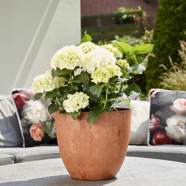 Bola ruukku art stone - Oak Ø28 x K24