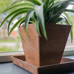 Ella aluslautanen art stone - Oak P19 x L19 x K3