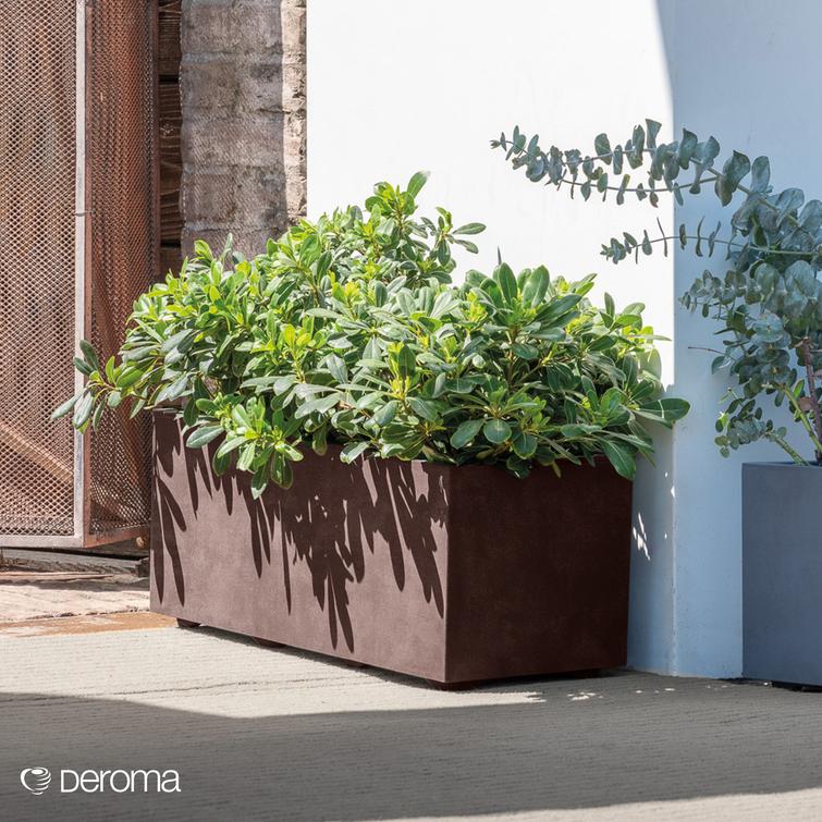 Millennium suorakaiteen muotoinen kukkalaatikko - Brownstone P59 x L25 x K25