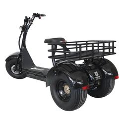 Kruiser Trike Takakori
