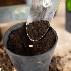 Claire ruukku art stone - Black &Oslash;22 X K20